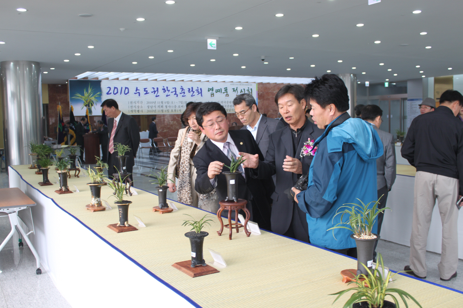 (동정)(포토)한국춘란 엽예품 보러 오세요! - 1